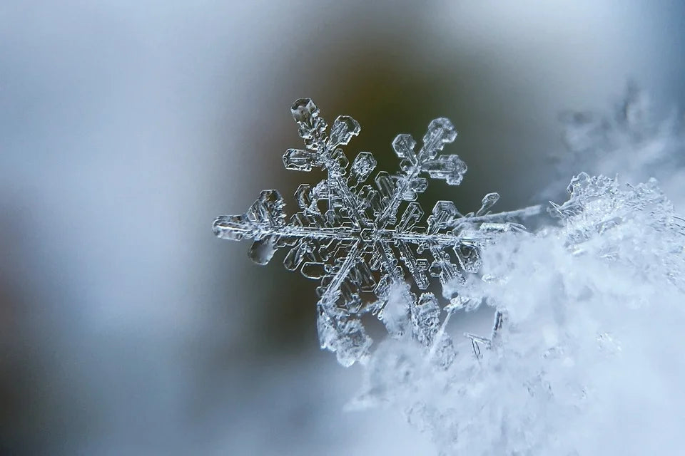 sneeuwvlok-3