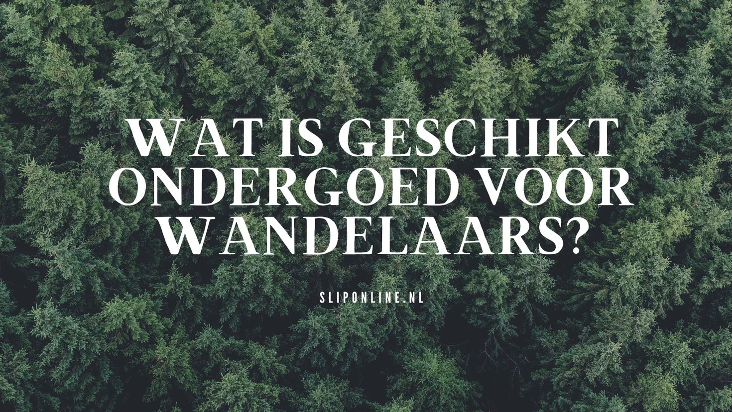 Wat is geschikt ondergoed voor wandelaars
