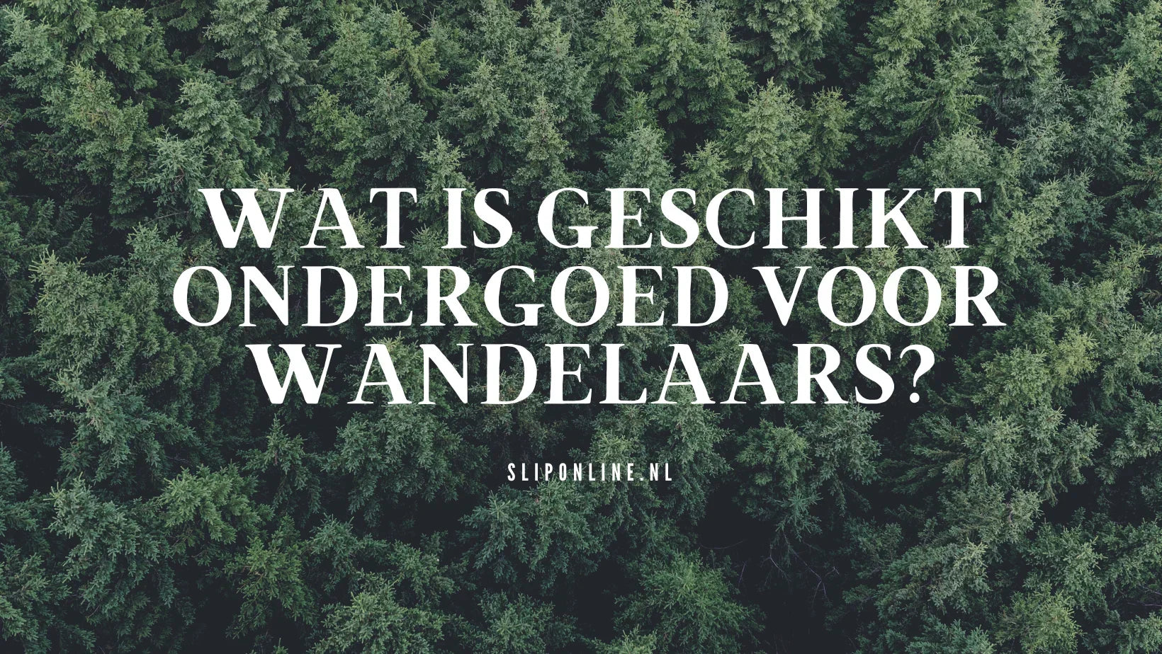 Wat is geschikt ondergoed voor wandelaars
