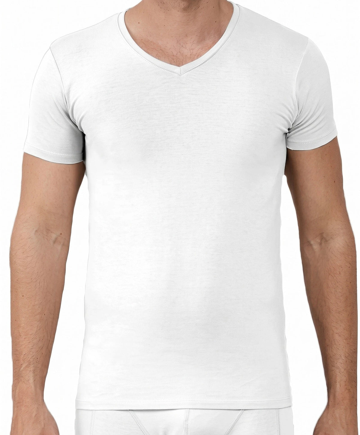 Apollo Apollo 2-pack heren T-shirts - Bamboe V-hals