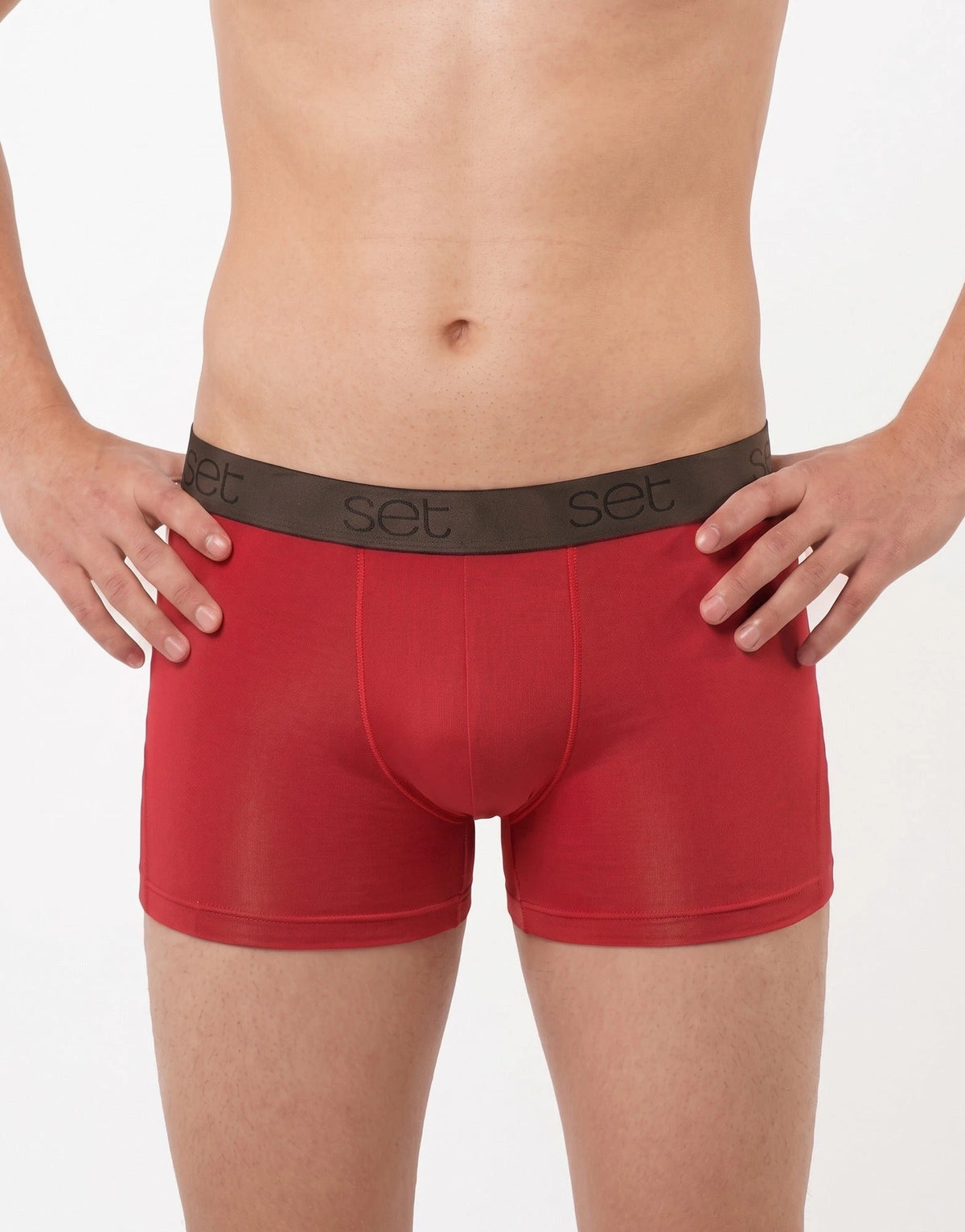 AVEt-SET Set heren microfiber boxershort / hipster 18453