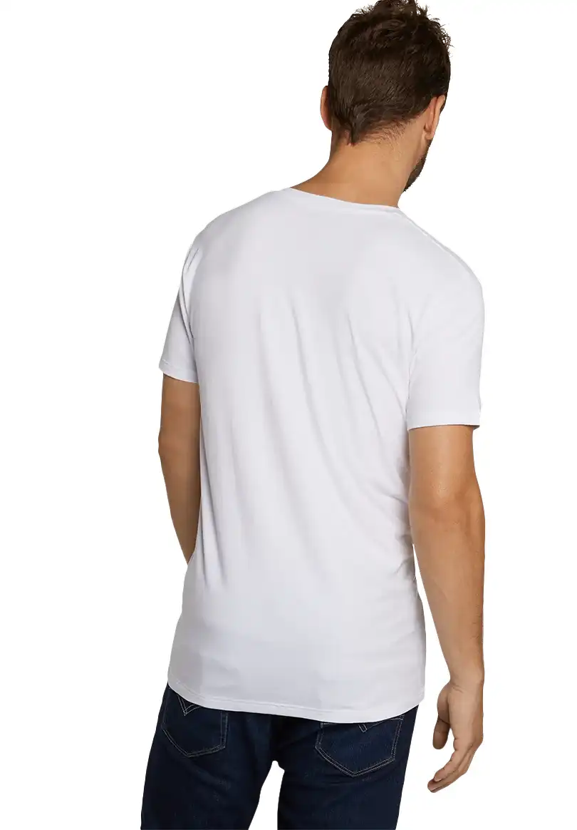 Bamboobasics Bamboo Basics 2-pak heren T-shirts V-hals - Velo