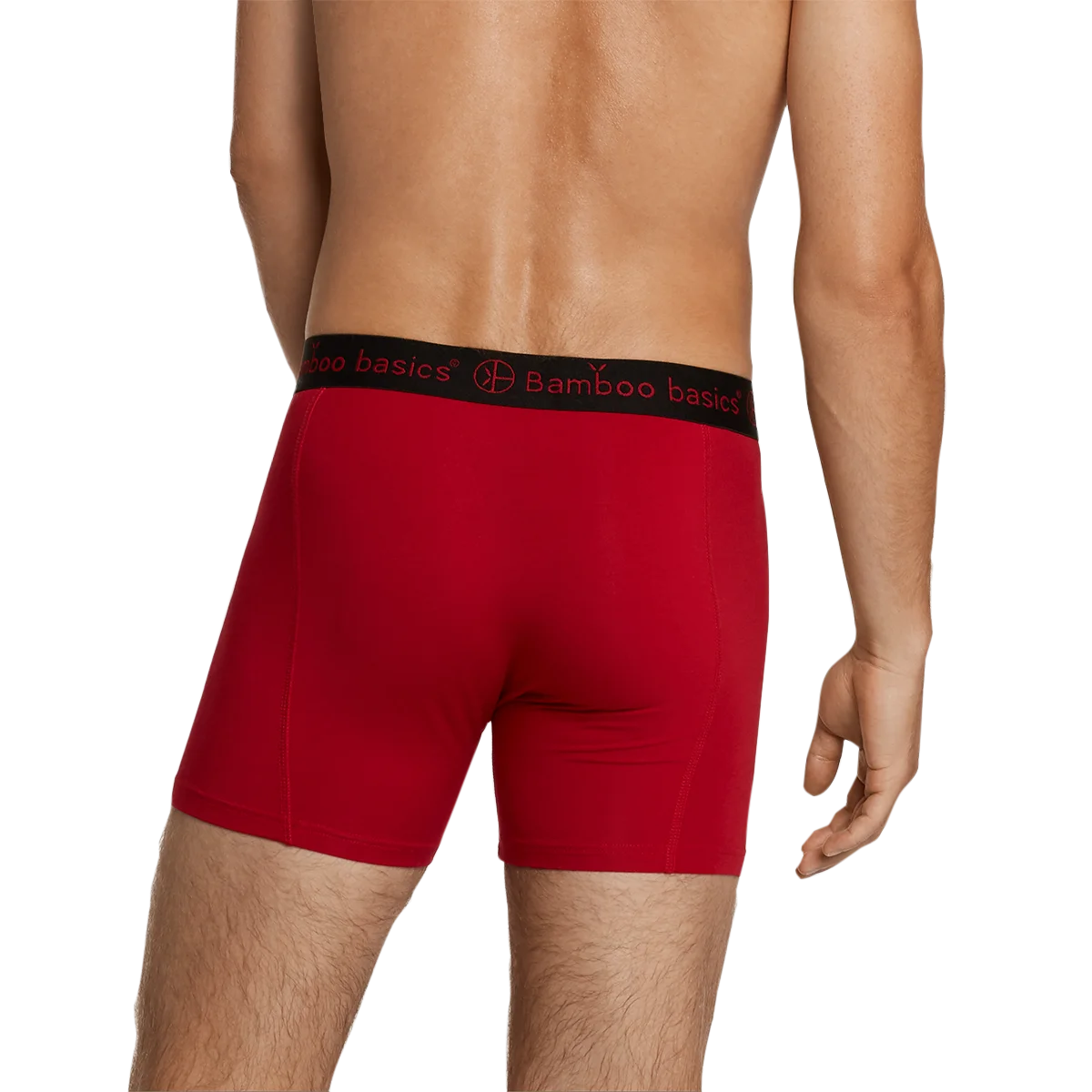 Bamboobasics Bamboo Basics 3-pak heren boxershorts - Rico - Combi 012