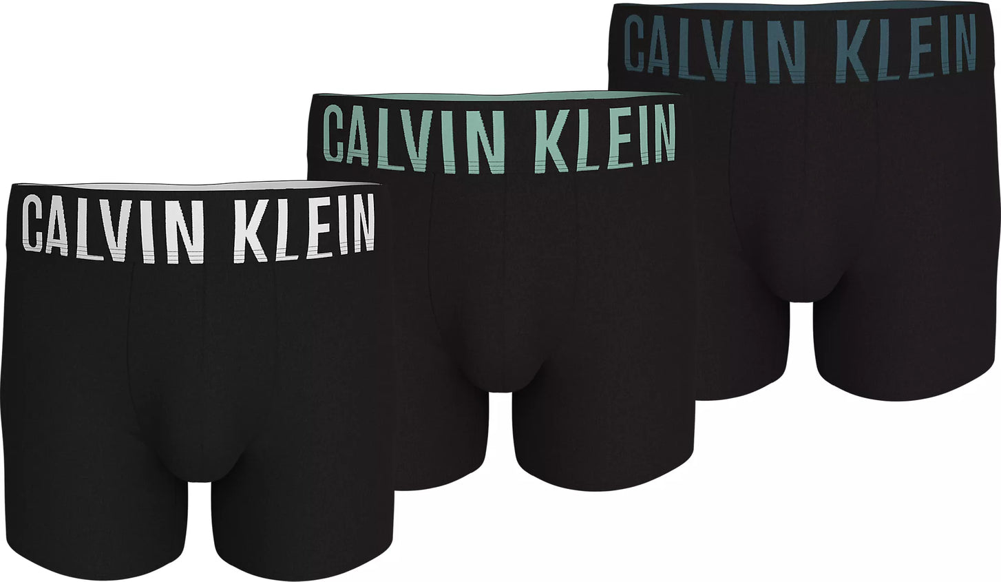 Calvin Klein Calvin Klein 3-Pack Boxer Briefs heren - Intense Power - Micro