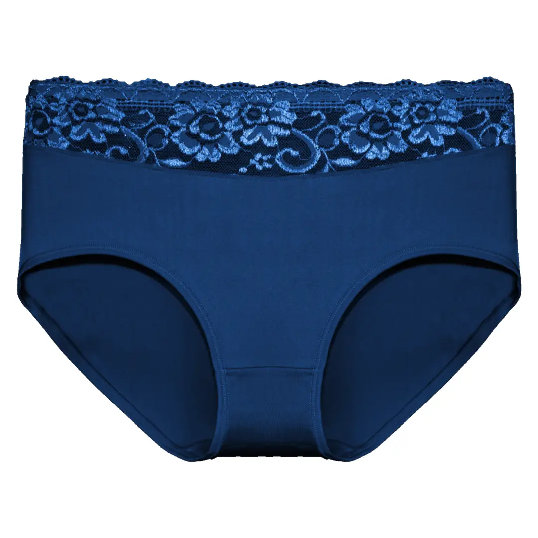 Holland underwear Fine Woman 10-pak dames taille slip kant - Katoen
