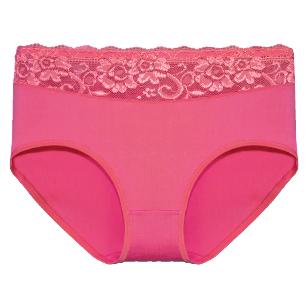 Holland underwear Fine Woman 10-pak dames taille slip kant - Katoen