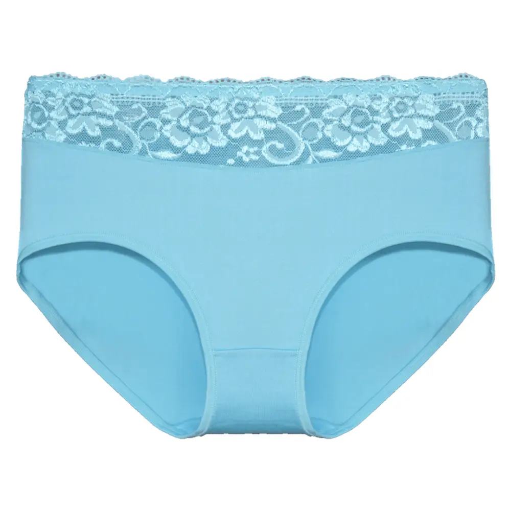 Holland underwear Fine Woman 10-pak dames taille slip kant - Katoen