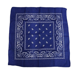 Sliponline Boeren zakdoek Rain drop 54x54