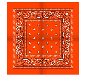 Sliponline Boerenzakdoek Rain drop 54x54 - Bandana - Hoofddoek