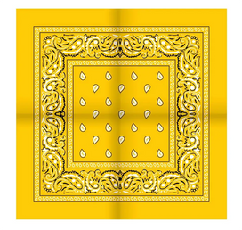 Sliponline Boerenzakdoek Rain drop 54x54 - Bandana - Hoofddoek