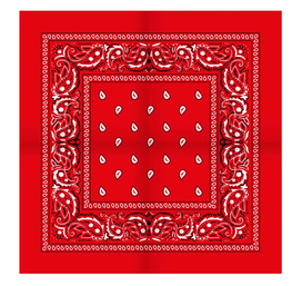 Sliponline Boerenzakdoek Rain drop 54x54 - Bandana - Hoofddoek
