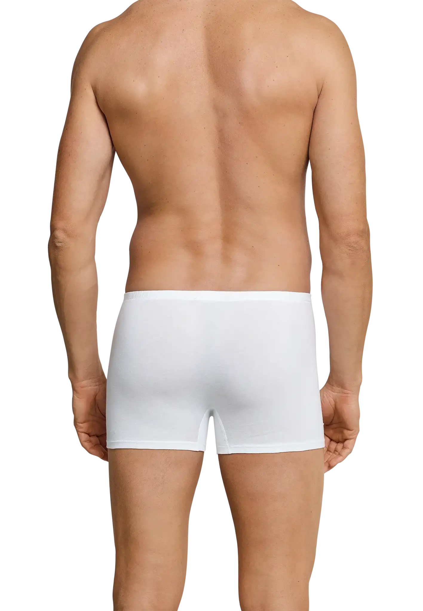 Sliponline Schiesser 2-pack heren boxershorts katoen - Essentials