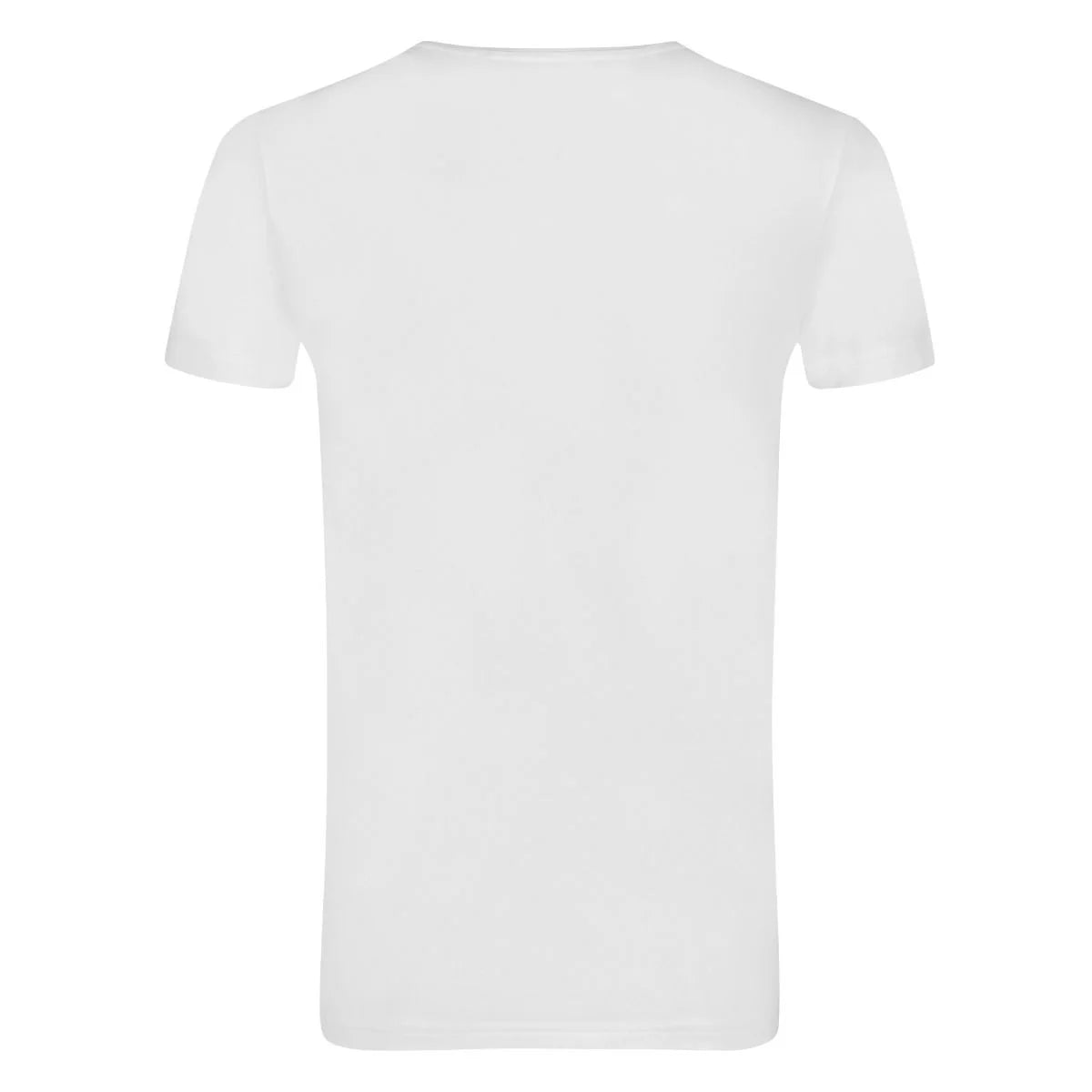 Sliponline Ten Cate 2-Pack heren ondershirts biologisch katoen