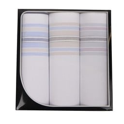 Swan Swan Heren zakdoeken, White Blue, 3 stuks