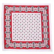 Vangelderen Boerenzakdoek Koffieboon rood 55 x 55 cm