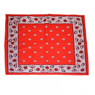 Vangelderen Boerenzakdoek rood Kleine Bloem 55 x 55 cm